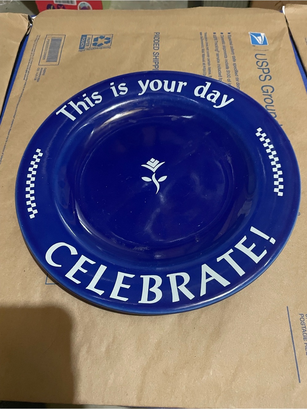 Pampered Chec Celebrate! Blue Party Plate - This Is Your Day